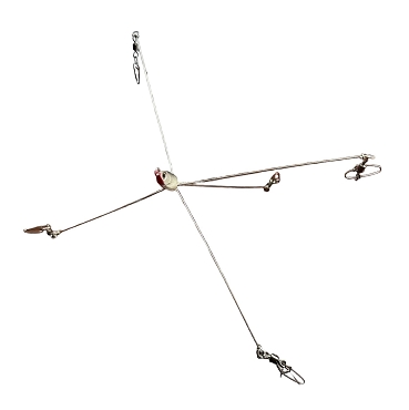 A RIG